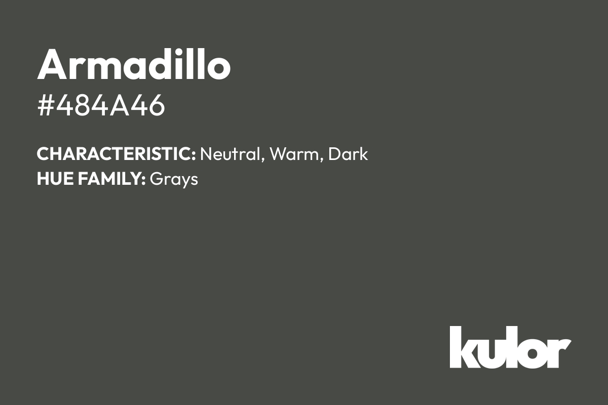 Armadillo is a color with a HTML hex code of #484a46.