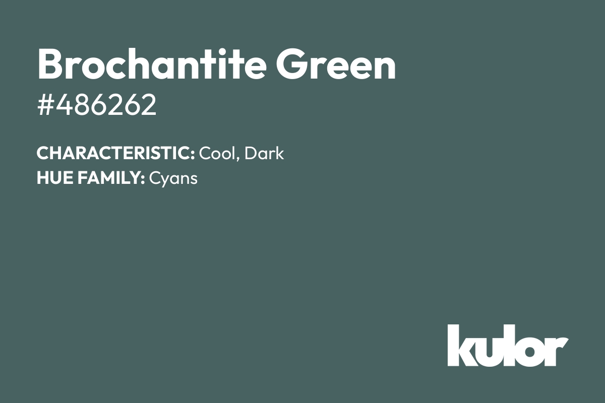 Brochantite Green is a color with a HTML hex code of #486262.