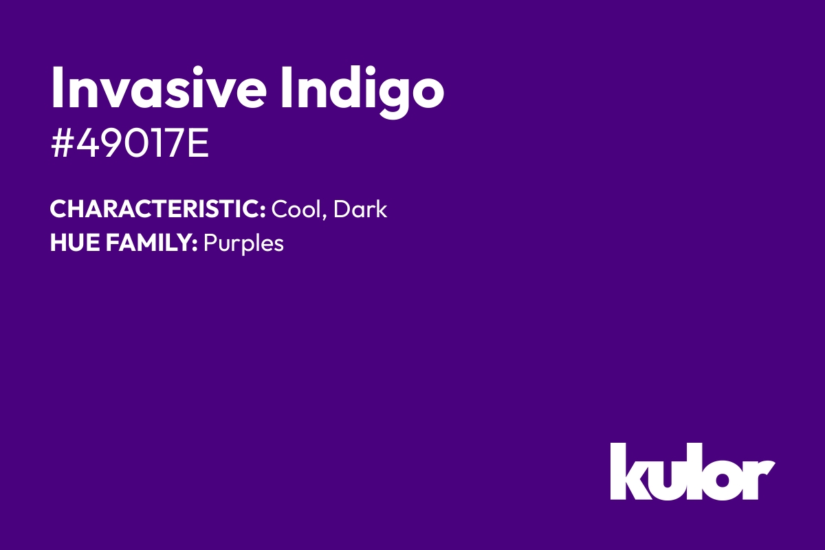 Invasive Indigo is a color with a HTML hex code of #49017e.