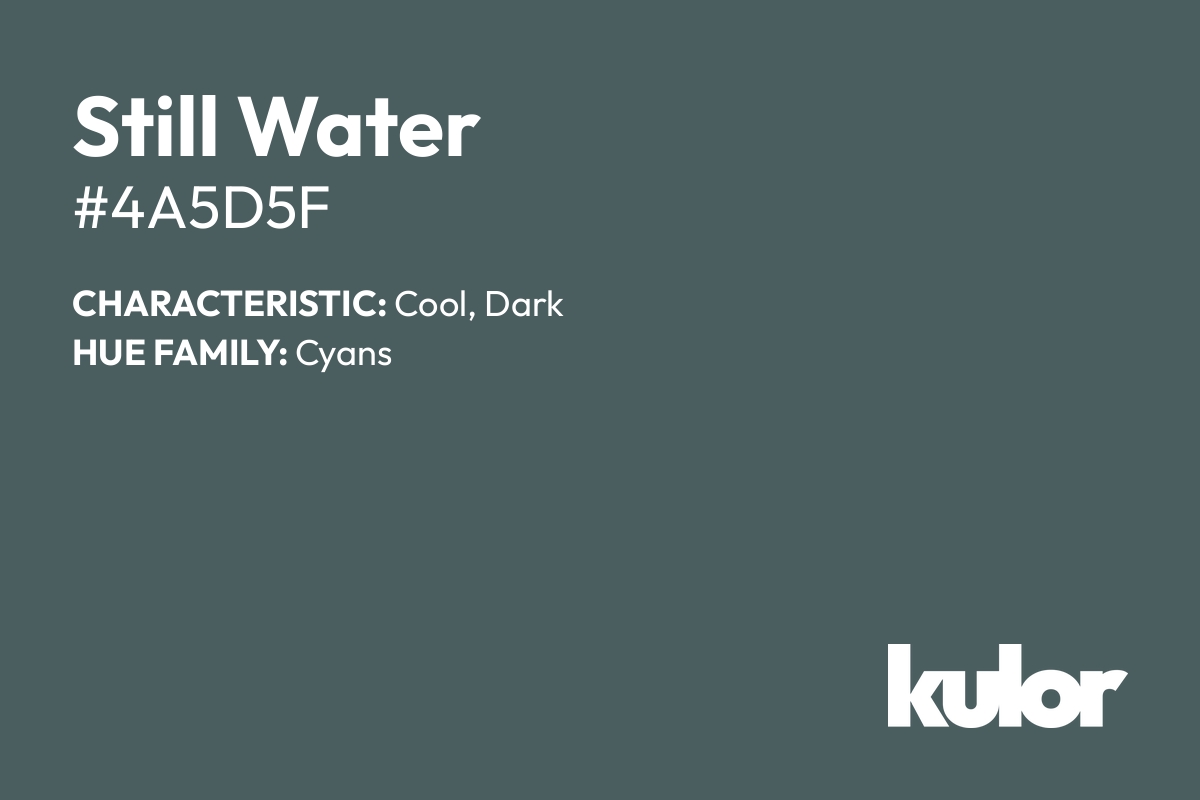 Still Water is a color with a HTML hex code of #4a5d5f.