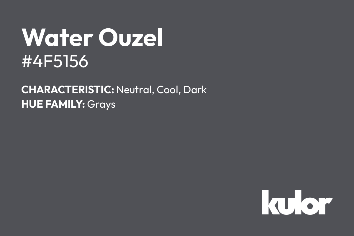 Water Ouzel is a color with a HTML hex code of #4f5156.