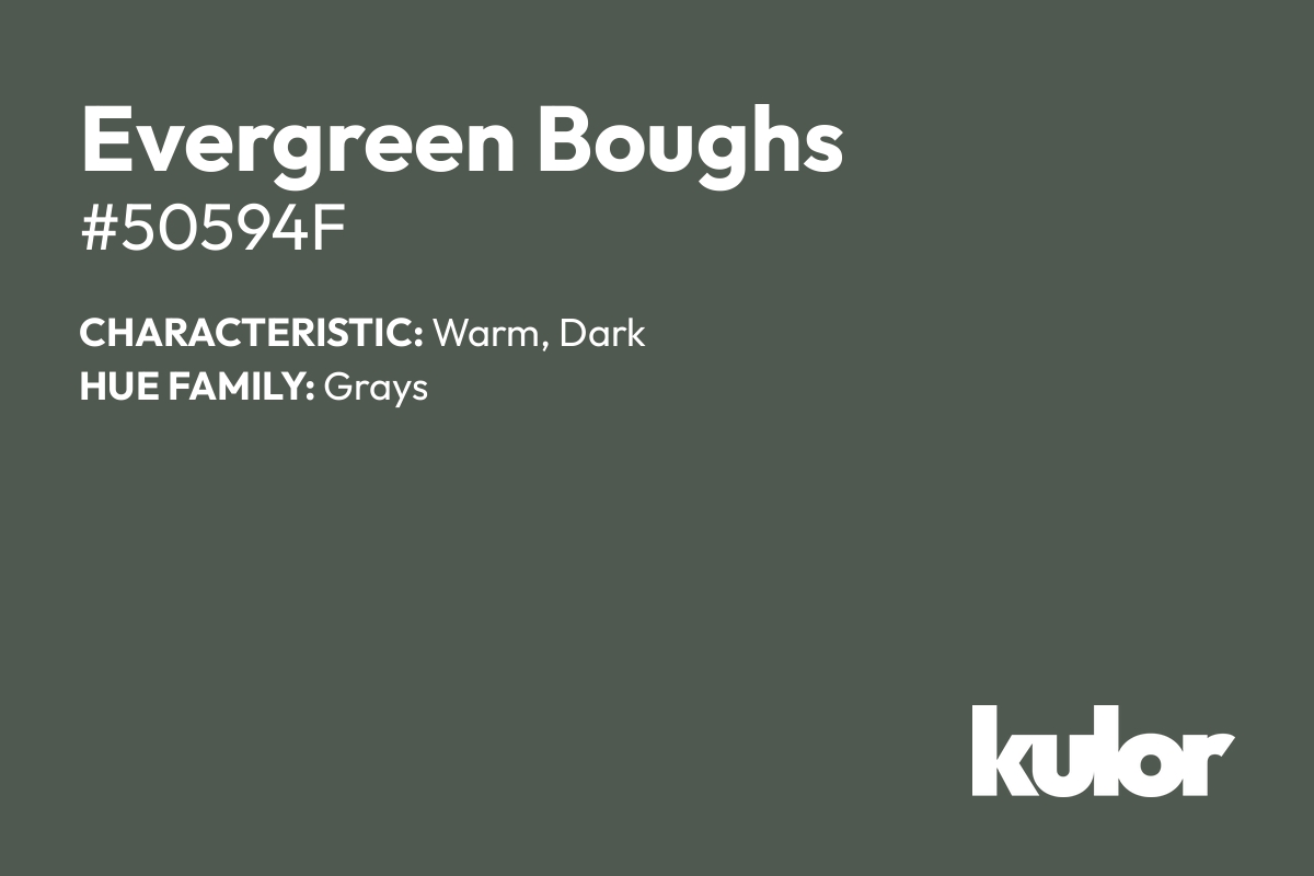 Evergreen Boughs is a color with a HTML hex code of #50594f.