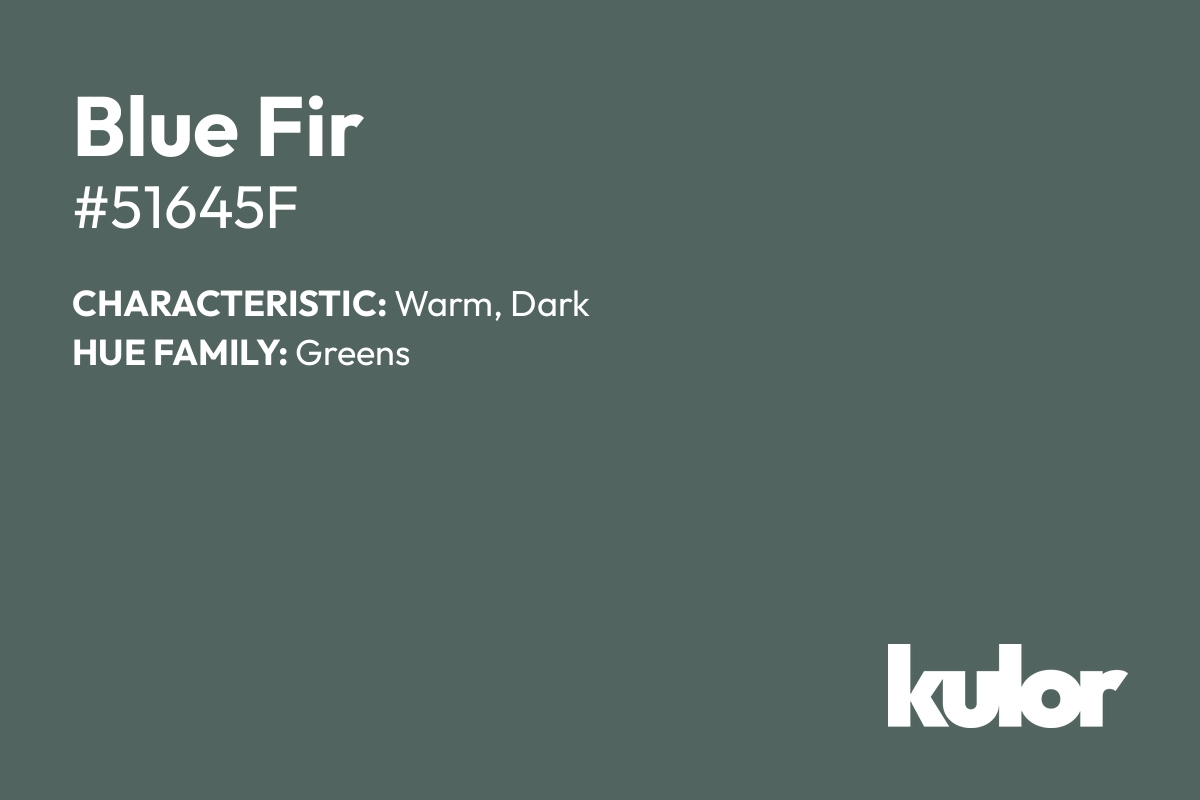 Blue Fir is a color with a HTML hex code of #51645f.