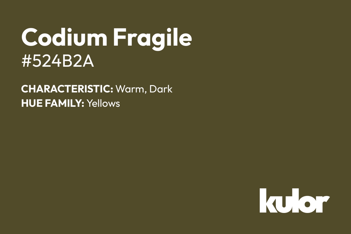 Codium Fragile is a color with a HTML hex code of #524b2a.