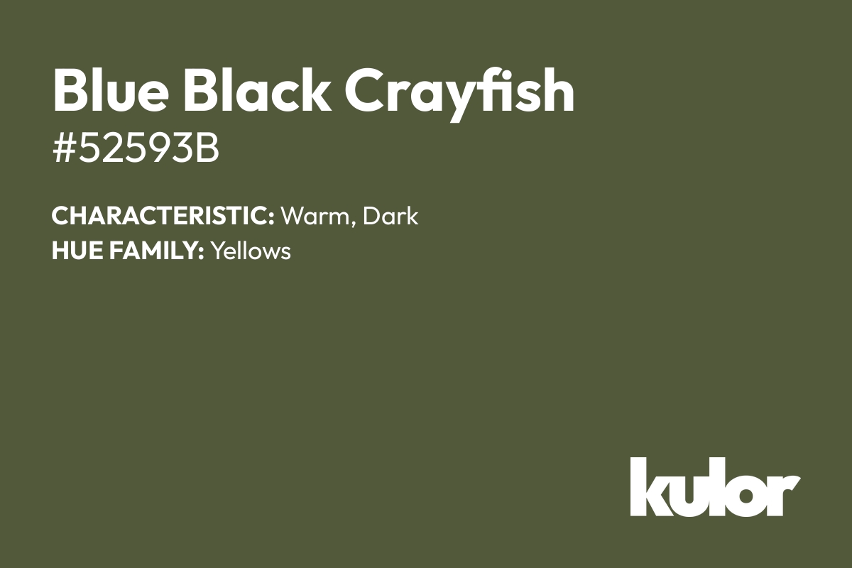 Blue Black Crayfish is a color with a HTML hex code of #52593b.