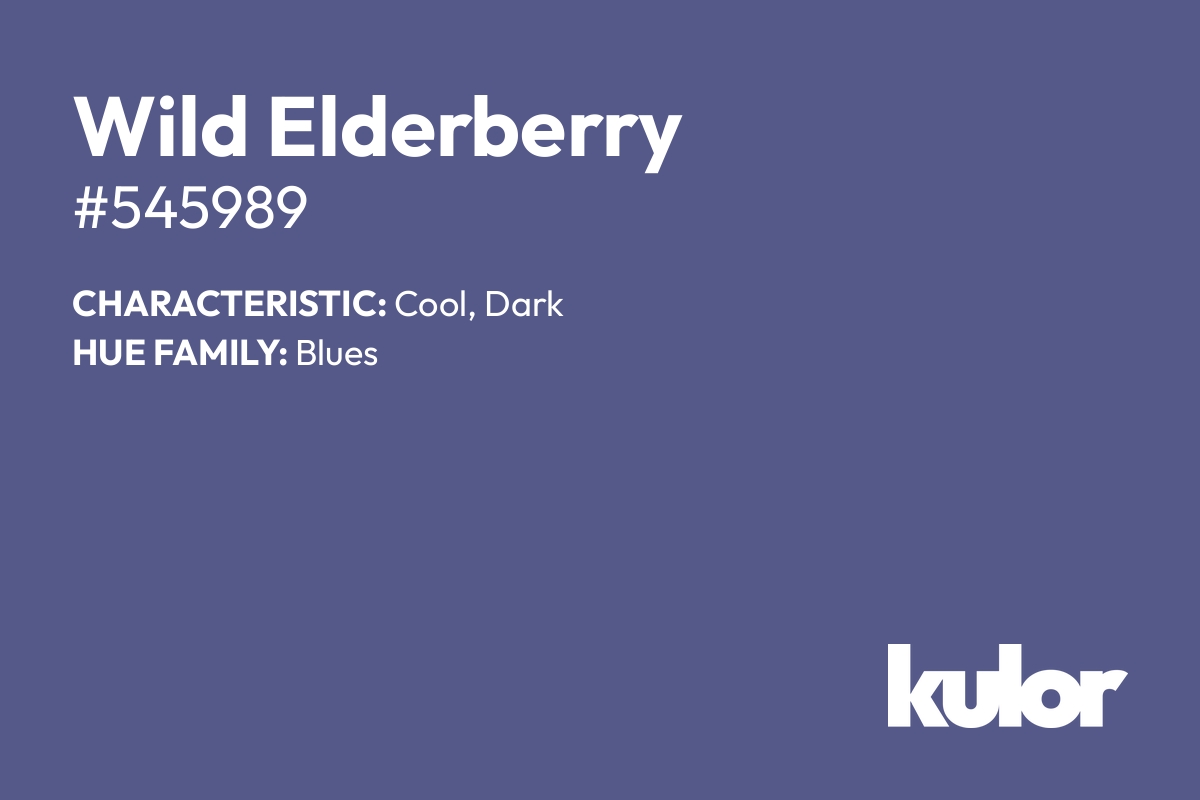 Wild Elderberry is a color with a HTML hex code of #545989.