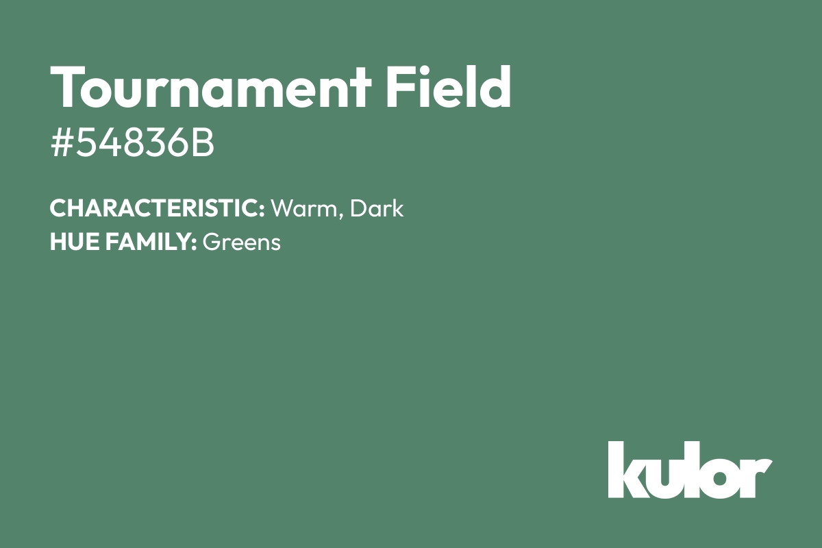 Tournament Field is a color with a HTML hex code of #54836b.