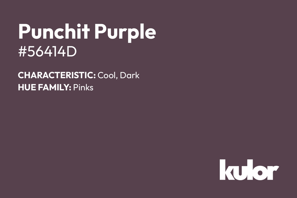 Punchit Purple is a color with a HTML hex code of #56414d.