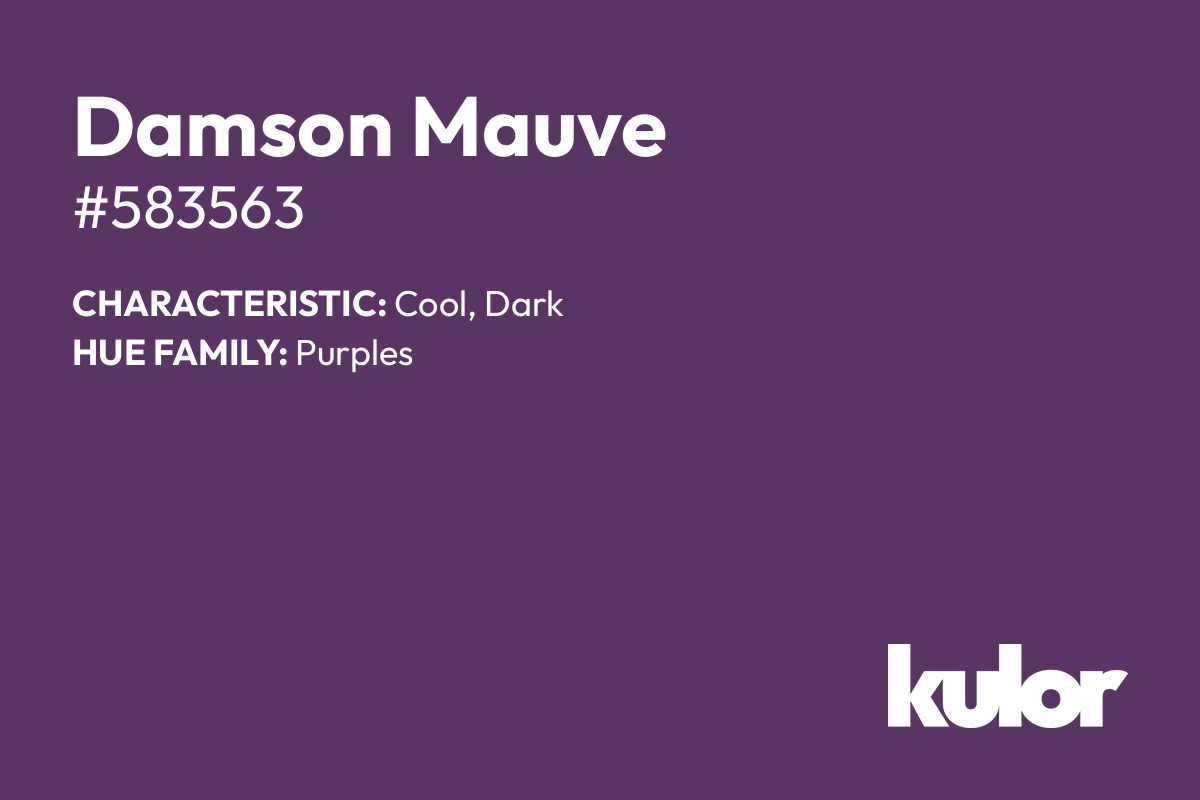 Damson Mauve is a color with a HTML hex code of #583563.