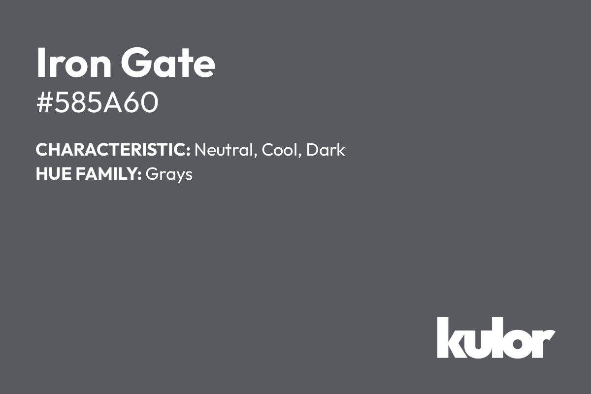 Iron Gate is a color with a HTML hex code of #585a60.