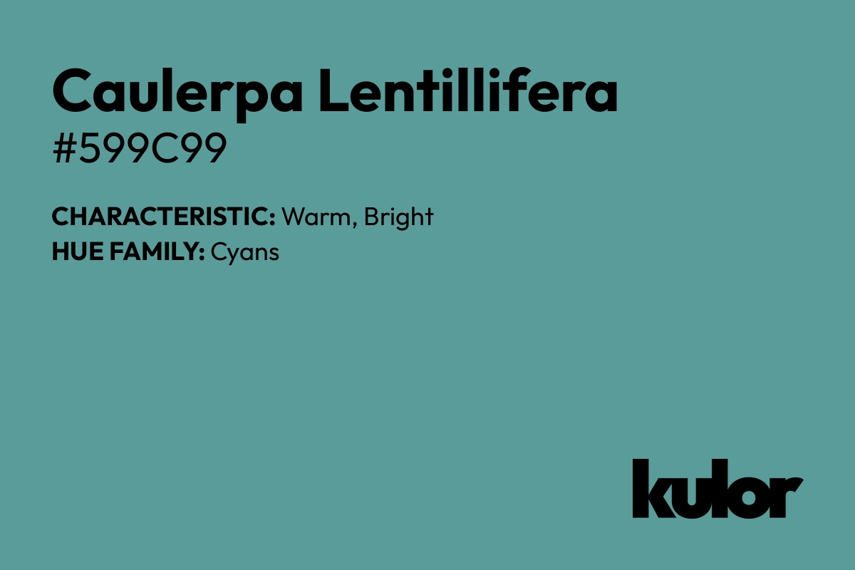 Caulerpa Lentillifera is a color with a HTML hex code of #599c99.