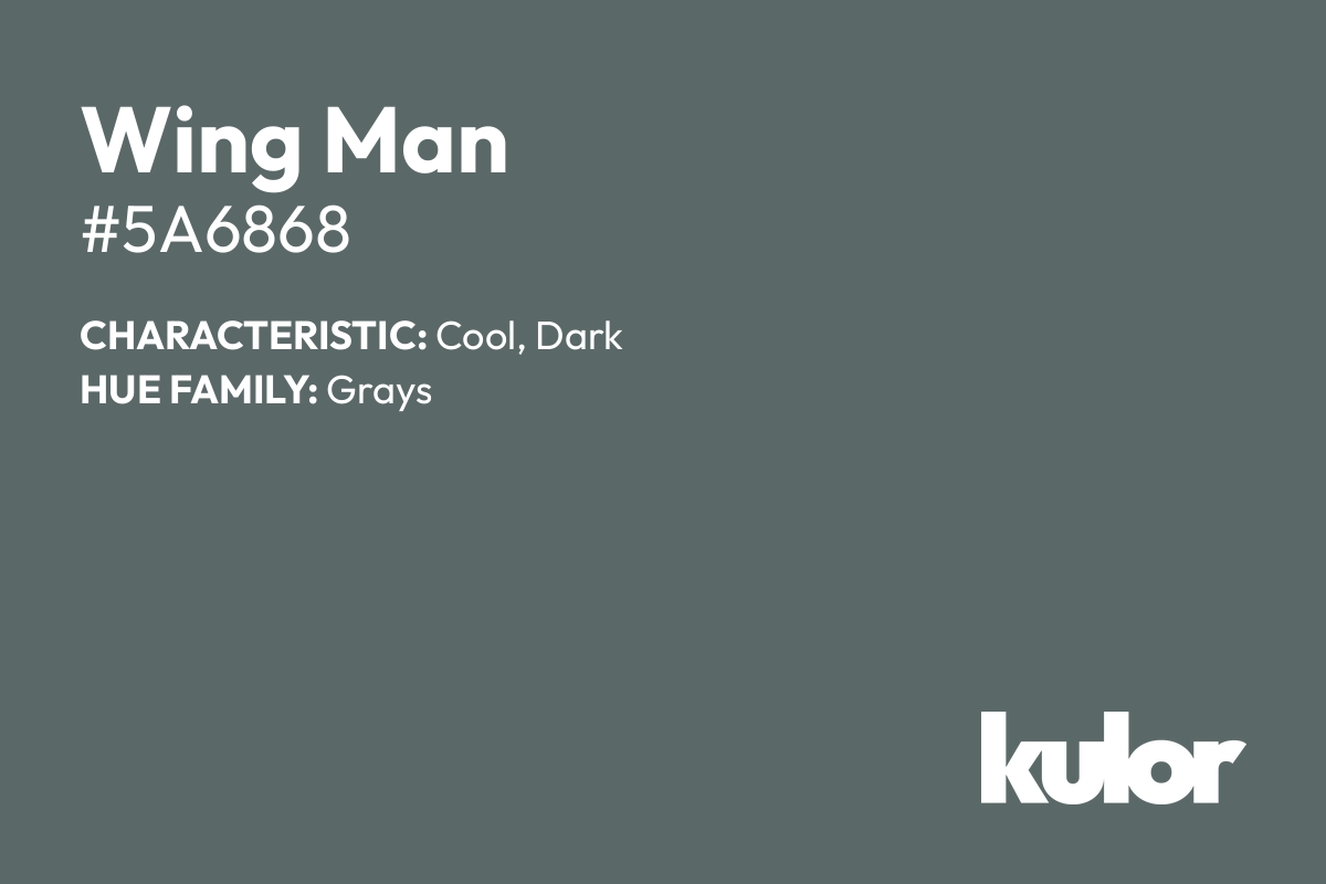 Wing Man is a color with a HTML hex code of #5a6868.