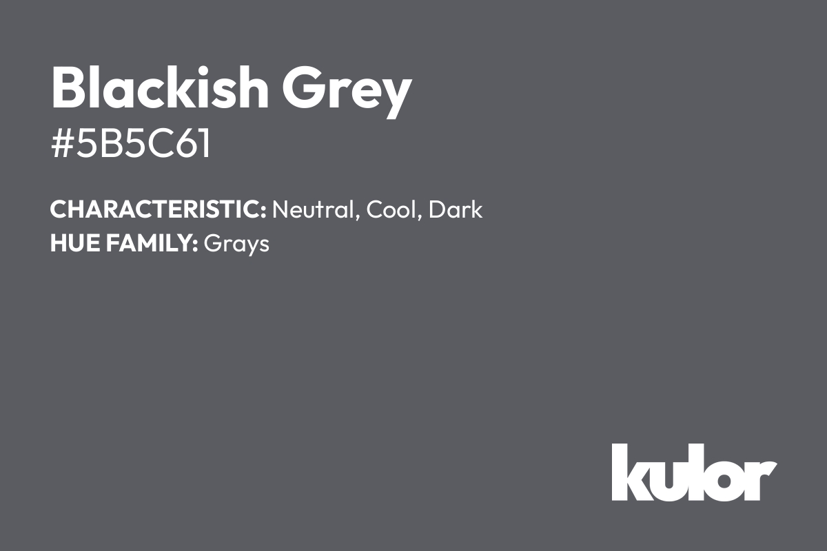 Blackish Grey is a color with a HTML hex code of #5b5c61.