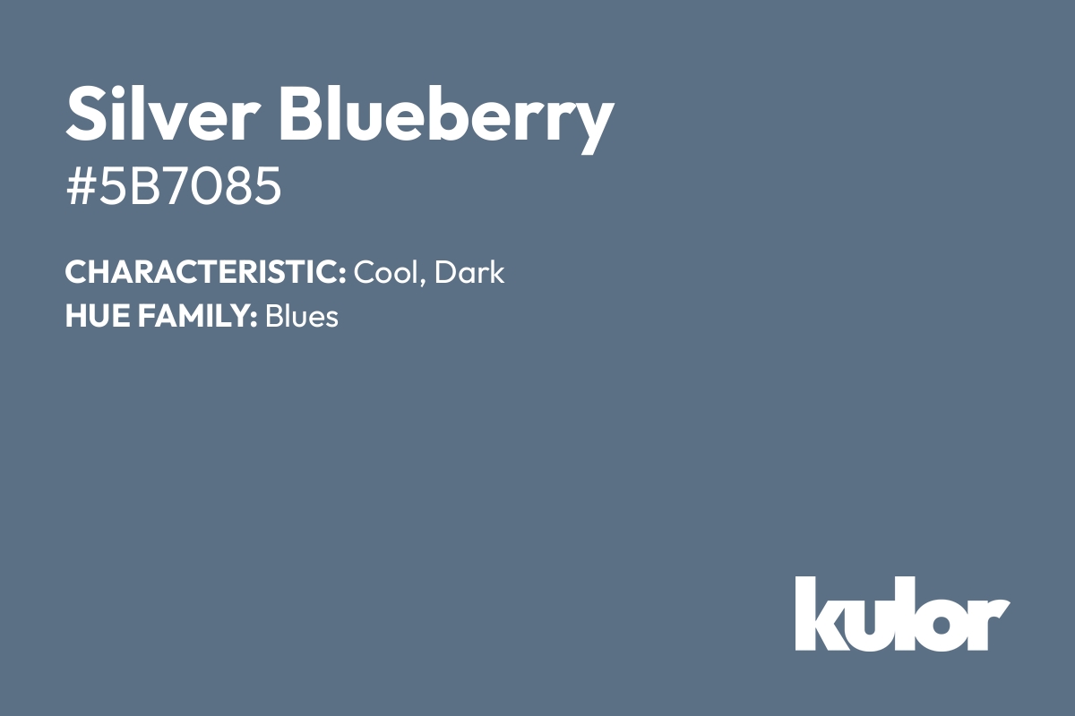 Silver Blueberry is a color with a HTML hex code of #5b7085.