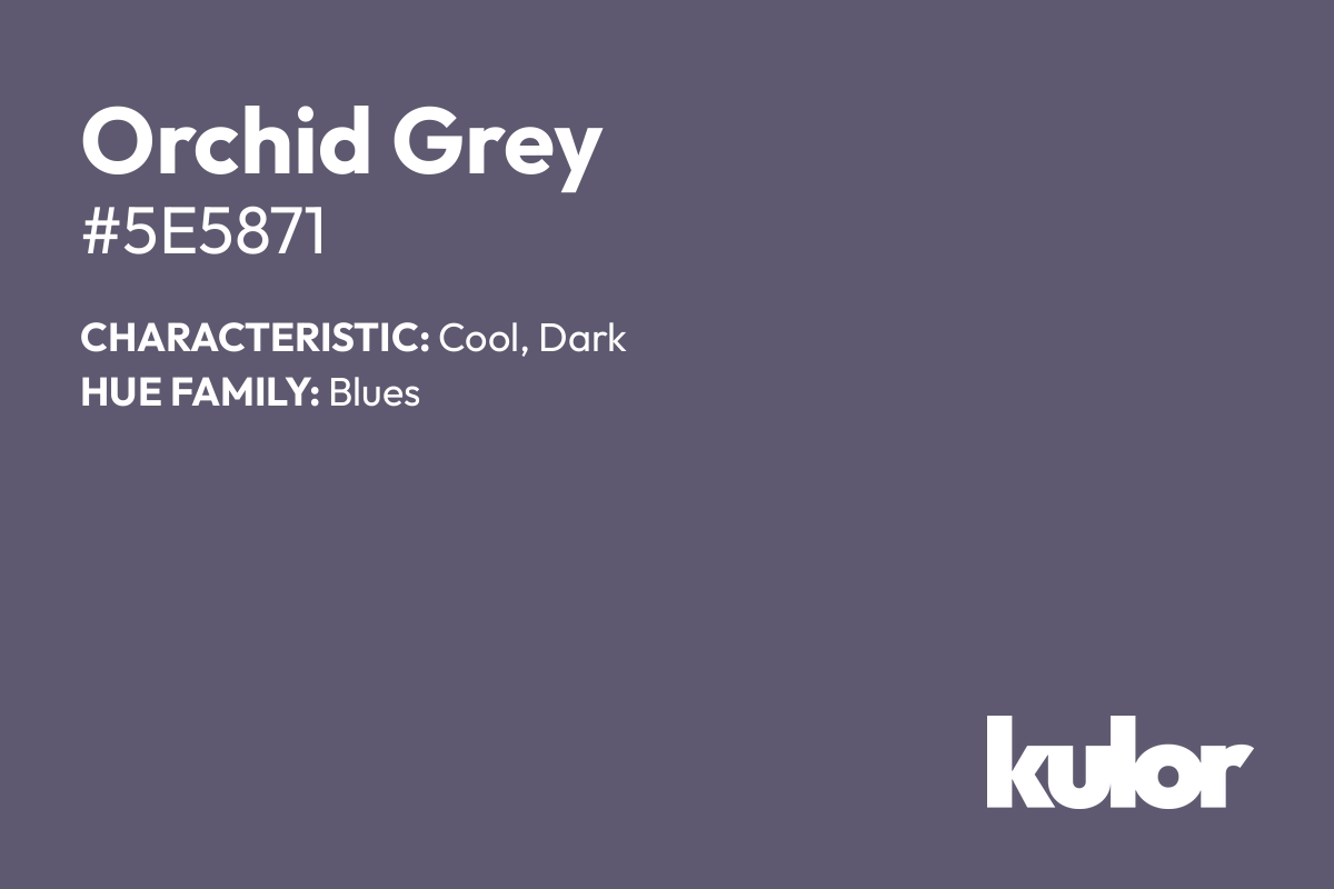 Orchid Grey is a color with a HTML hex code of #5e5871.