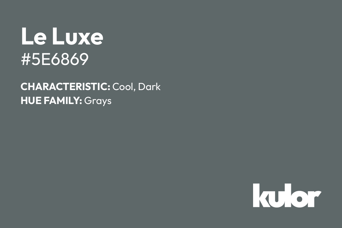 Le Luxe is a color with a HTML hex code of #5e6869.