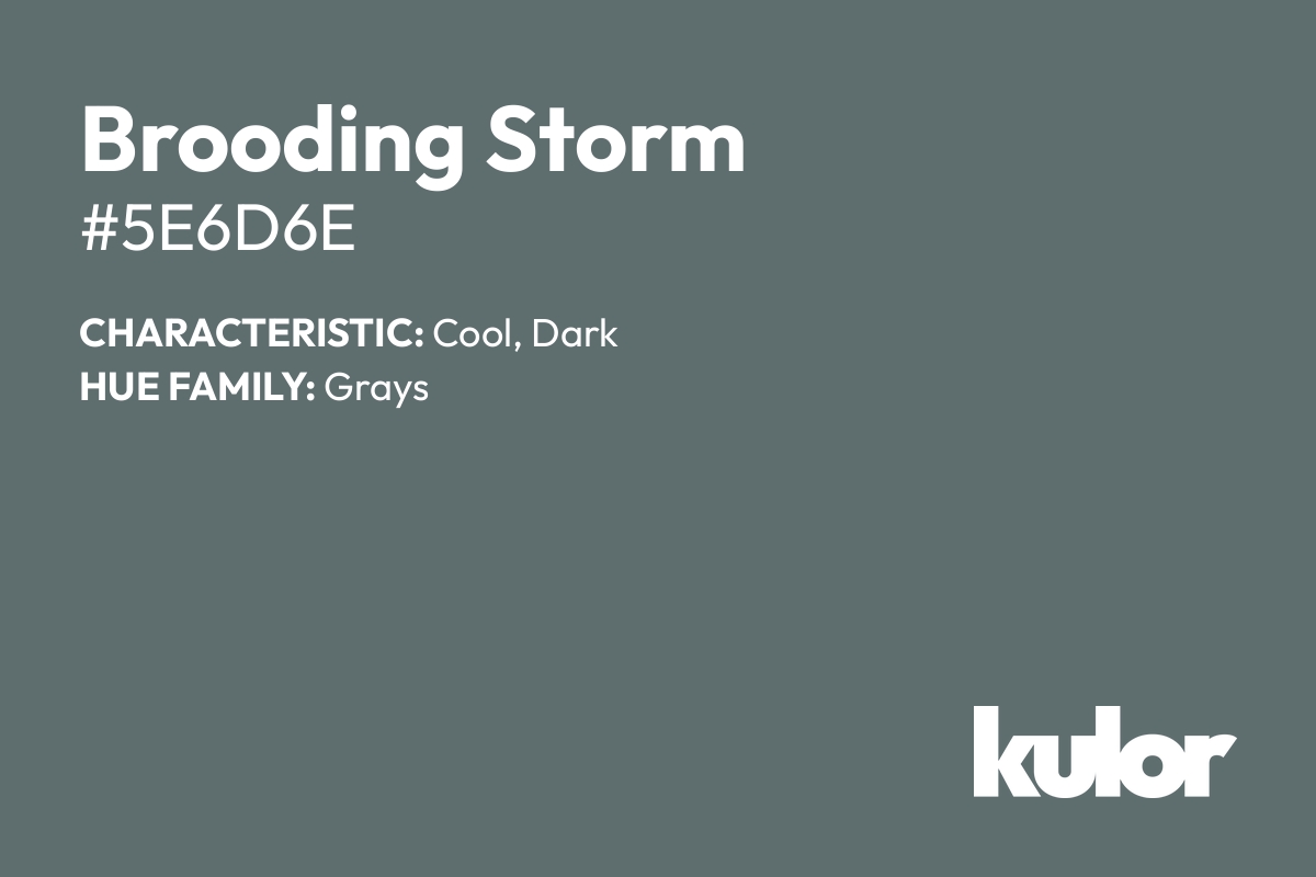 Brooding Storm is a color with a HTML hex code of #5e6d6e.