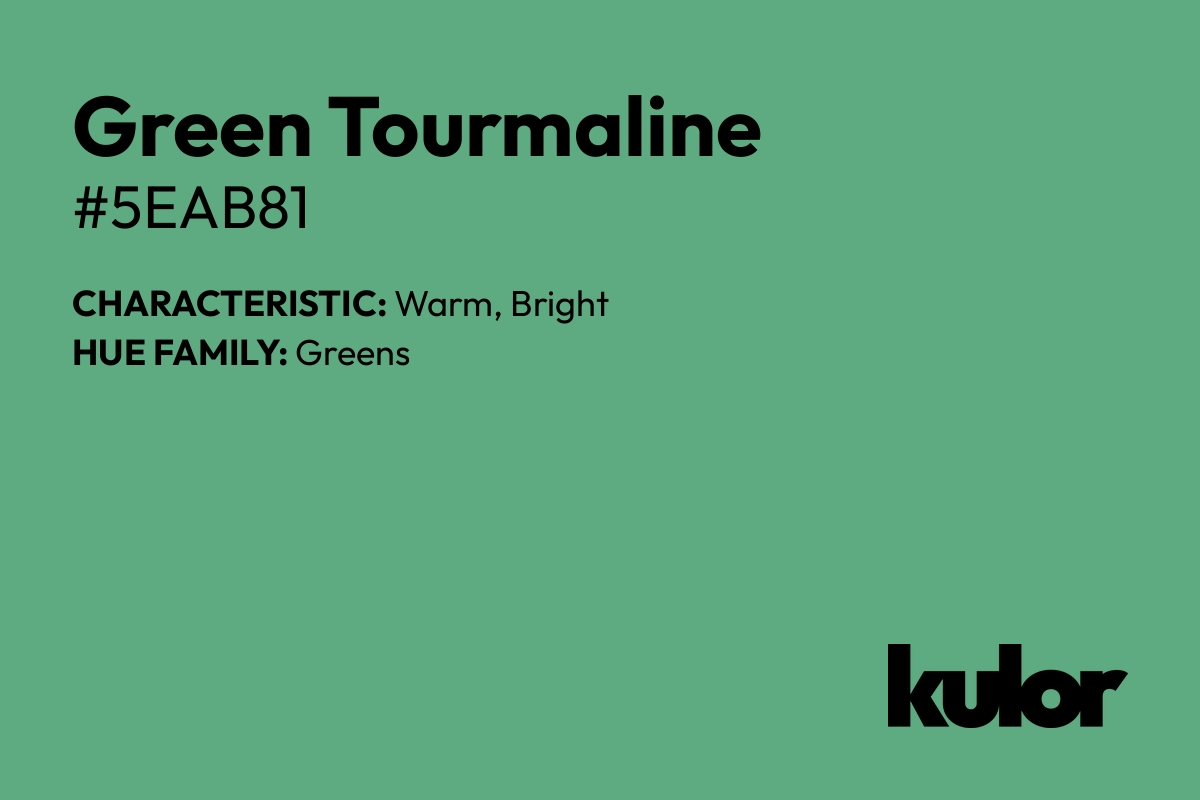 Green Tourmaline is a color with a HTML hex code of #5eab81.