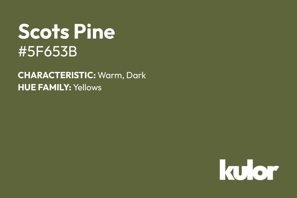 Scots Pine is a color with a HTML hex code of #5f653b.