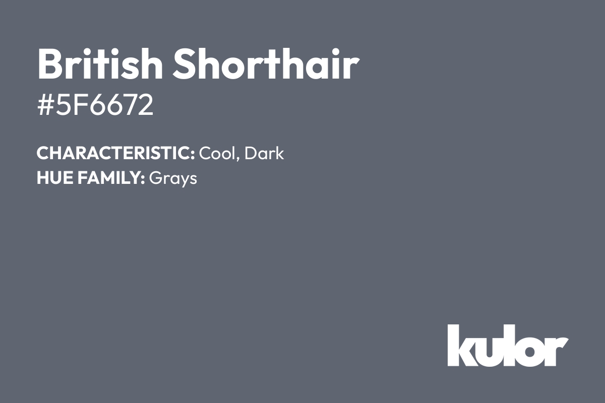 British Shorthair is a color with a HTML hex code of #5f6672.