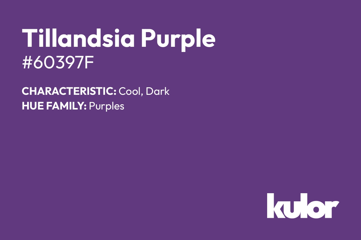 Tillandsia Purple is a color with a HTML hex code of #60397f.