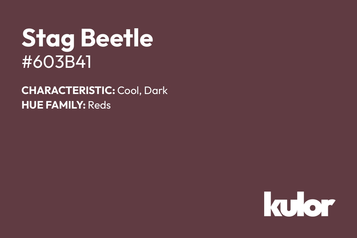 Stag Beetle is a color with a HTML hex code of #603b41.