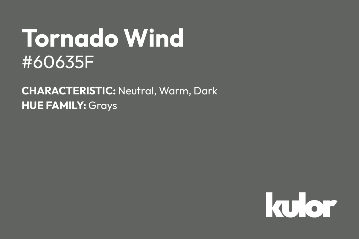 Tornado Wind is a color with a HTML hex code of #60635f.