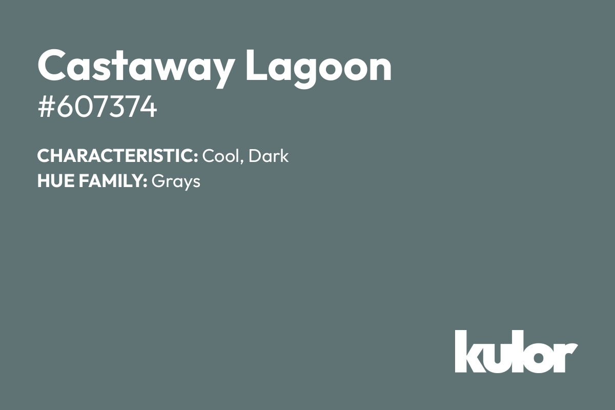 Castaway Lagoon is a color with a HTML hex code of #607374.