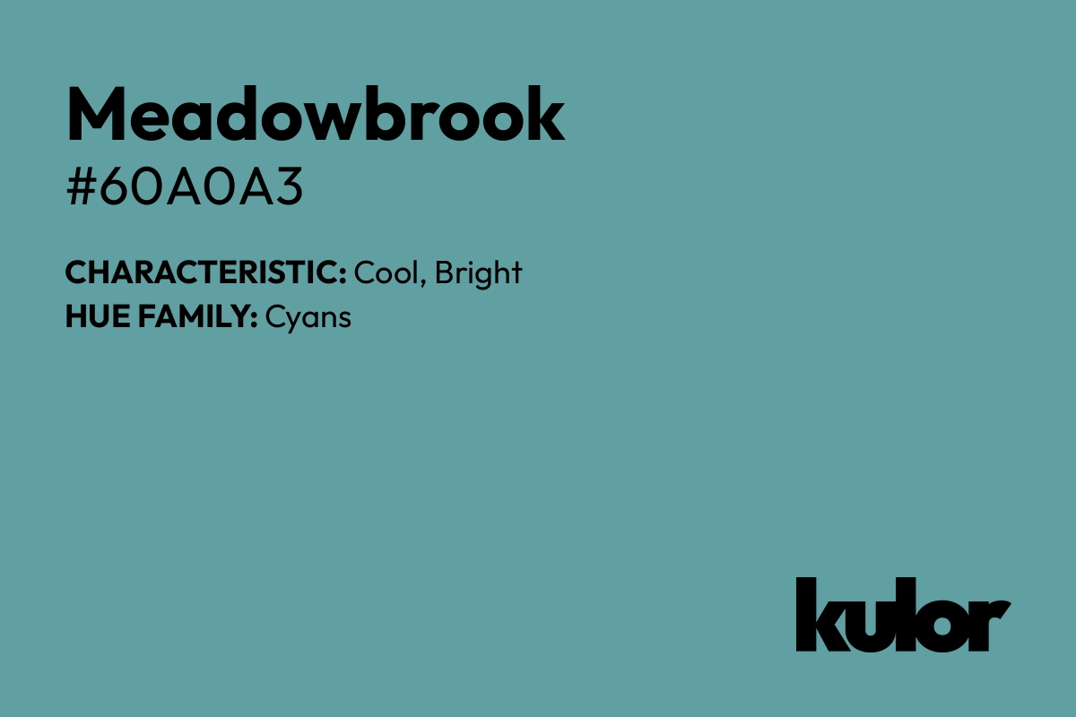 Meadowbrook is a color with a HTML hex code of #60a0a3.