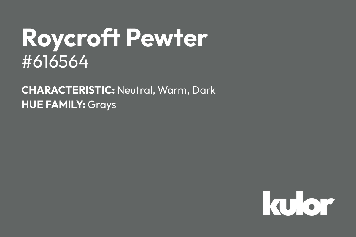 Roycroft Pewter is a color with a HTML hex code of #616564.