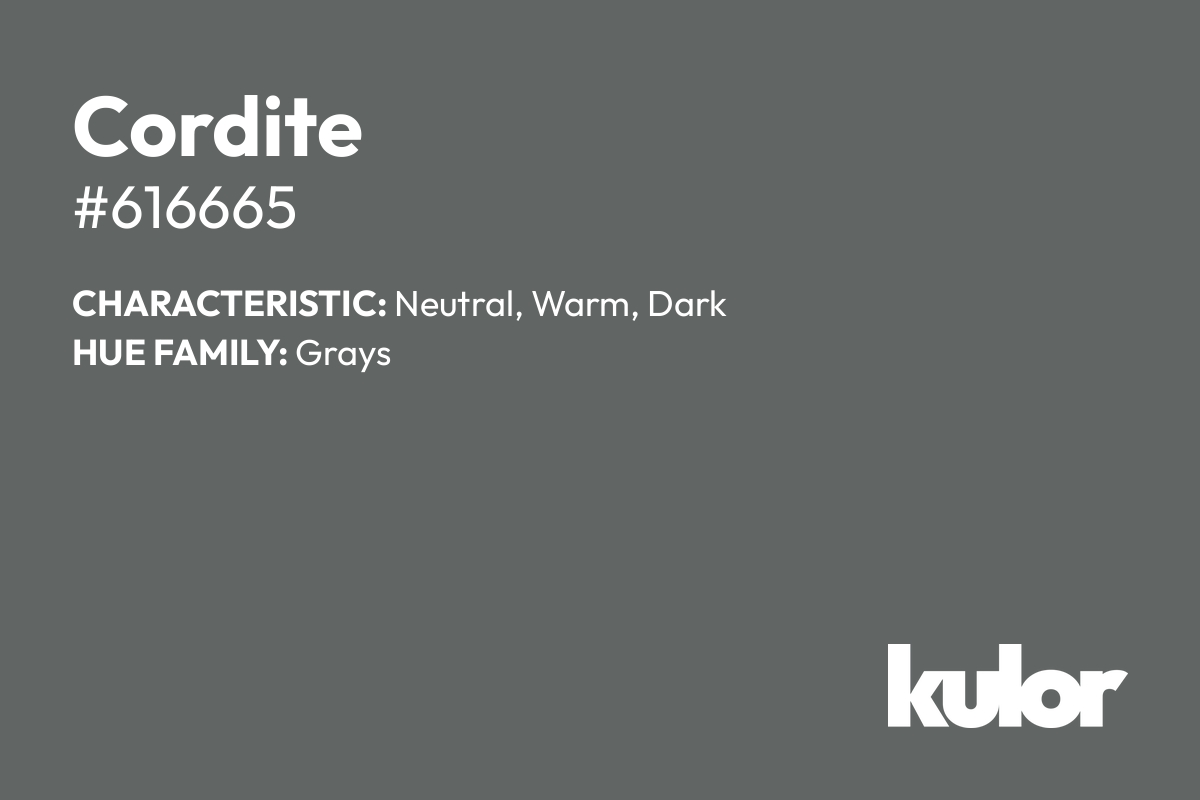 Cordite is a color with a HTML hex code of #616665.