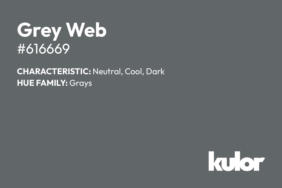 Grey Web is a color with a HTML hex code of #616669.