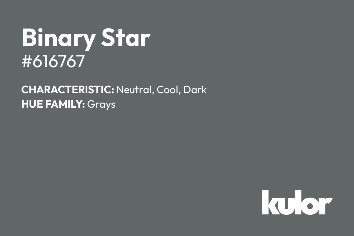 Binary Star is a color with a HTML hex code of #616767.