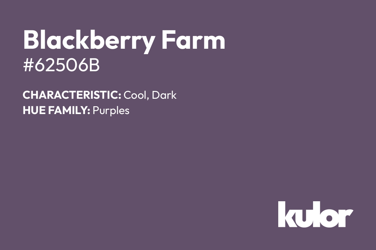 Blackberry Farm is a color with a HTML hex code of #62506b.
