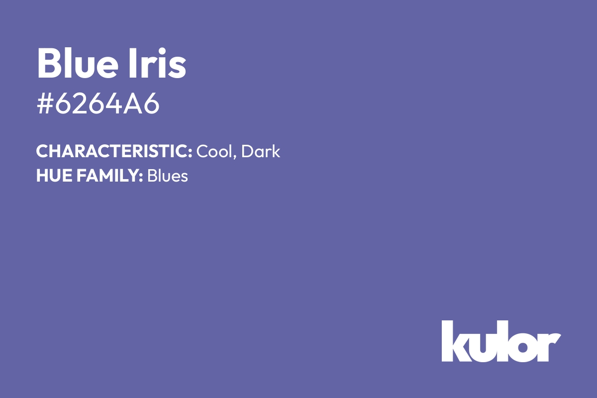 Blue Iris is a color with a HTML hex code of #6264a6.