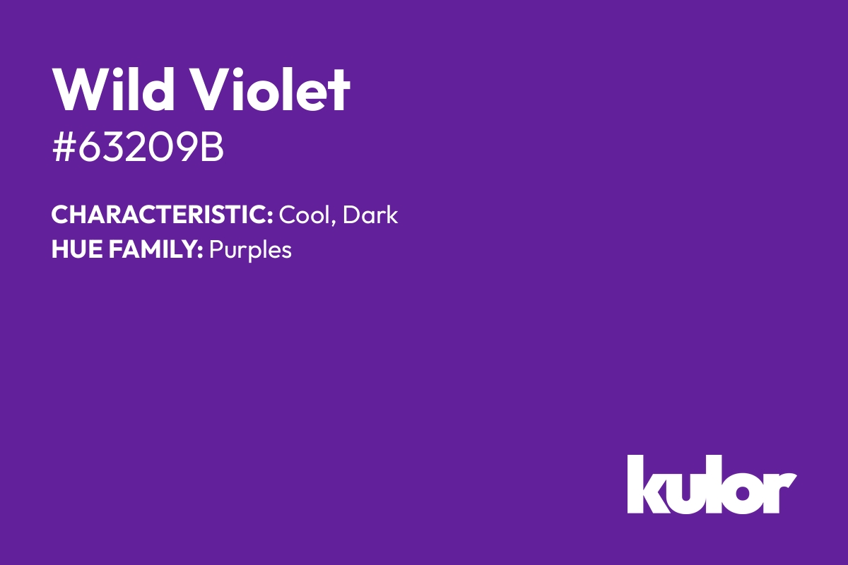 Wild Violet is a color with a HTML hex code of #63209b.