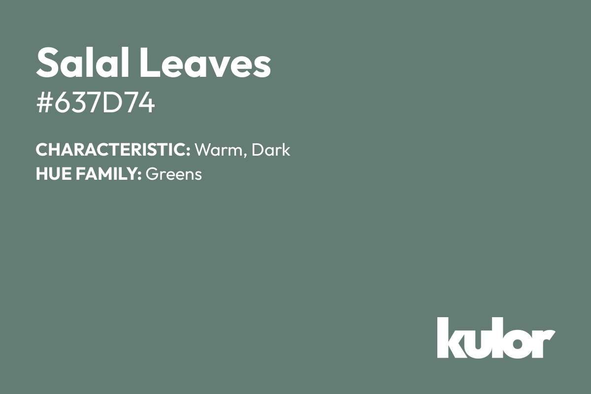 Salal Leaves is a color with a HTML hex code of #637d74.