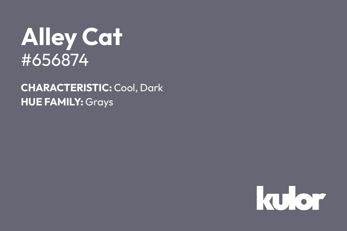 Alley Cat is a color with a HTML hex code of #656874.