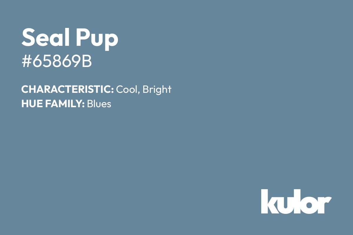 Seal Pup is a color with a HTML hex code of #65869b.