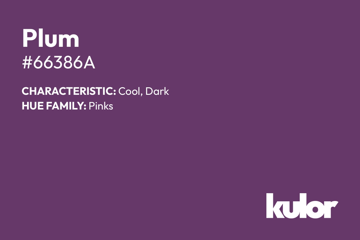 Plum is a color with a HTML hex code of #66386a.