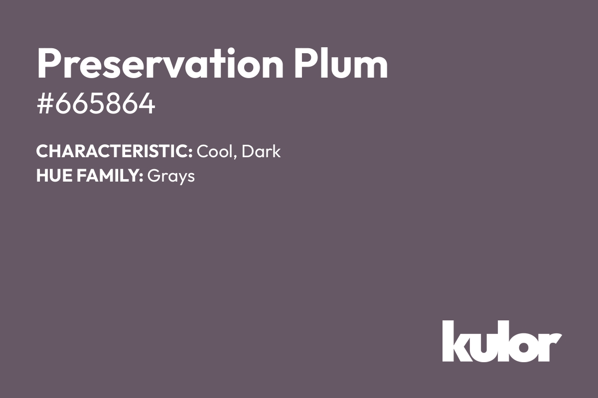 Preservation Plum is a color with a HTML hex code of #665864.