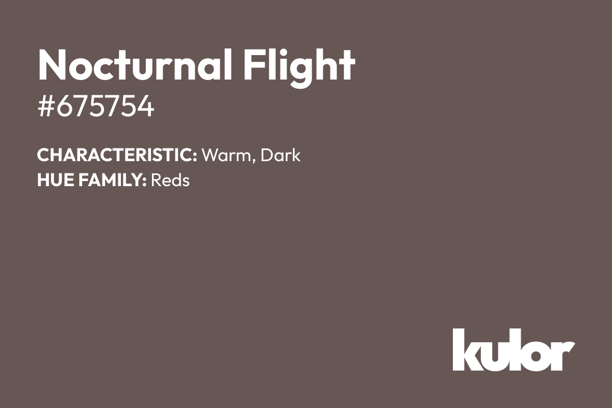 Nocturnal Flight is a color with a HTML hex code of #675754.