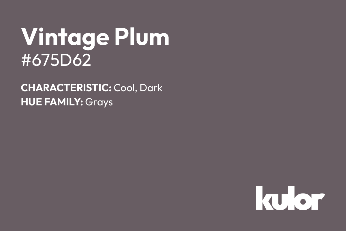 Vintage Plum is a color with a HTML hex code of #675d62.