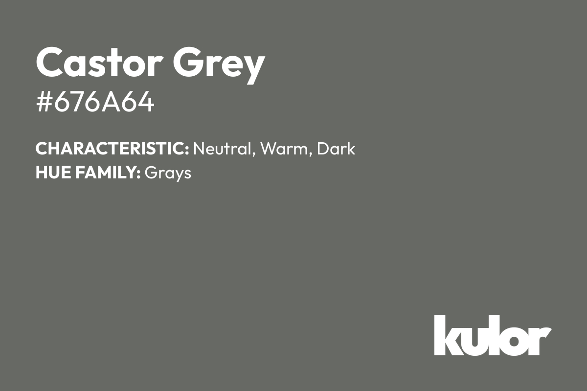 Castor Grey is a color with a HTML hex code of #676a64.