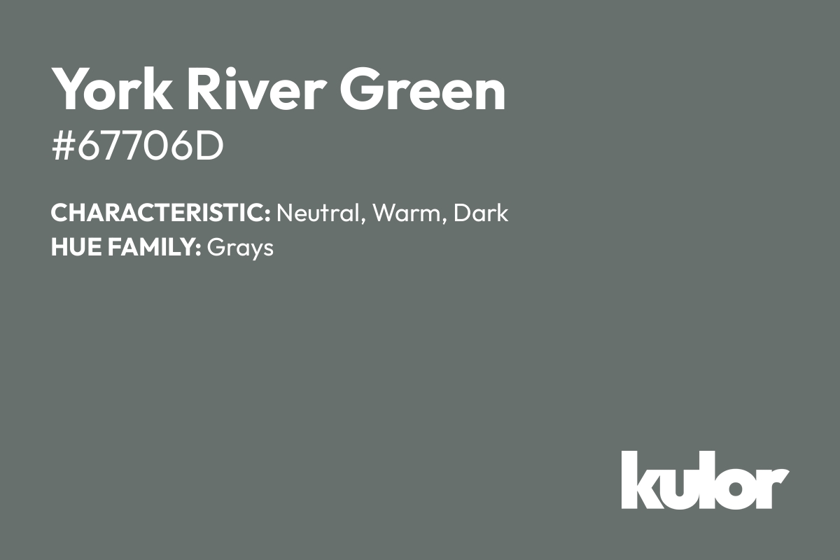 York River Green is a color with a HTML hex code of #67706d.