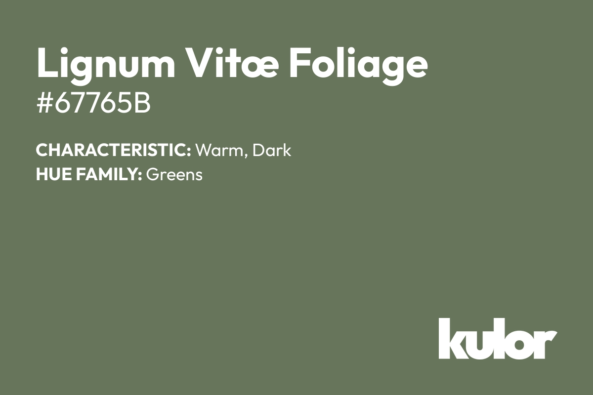 Lignum Vitœ Foliage is a color with a HTML hex code of #67765b.