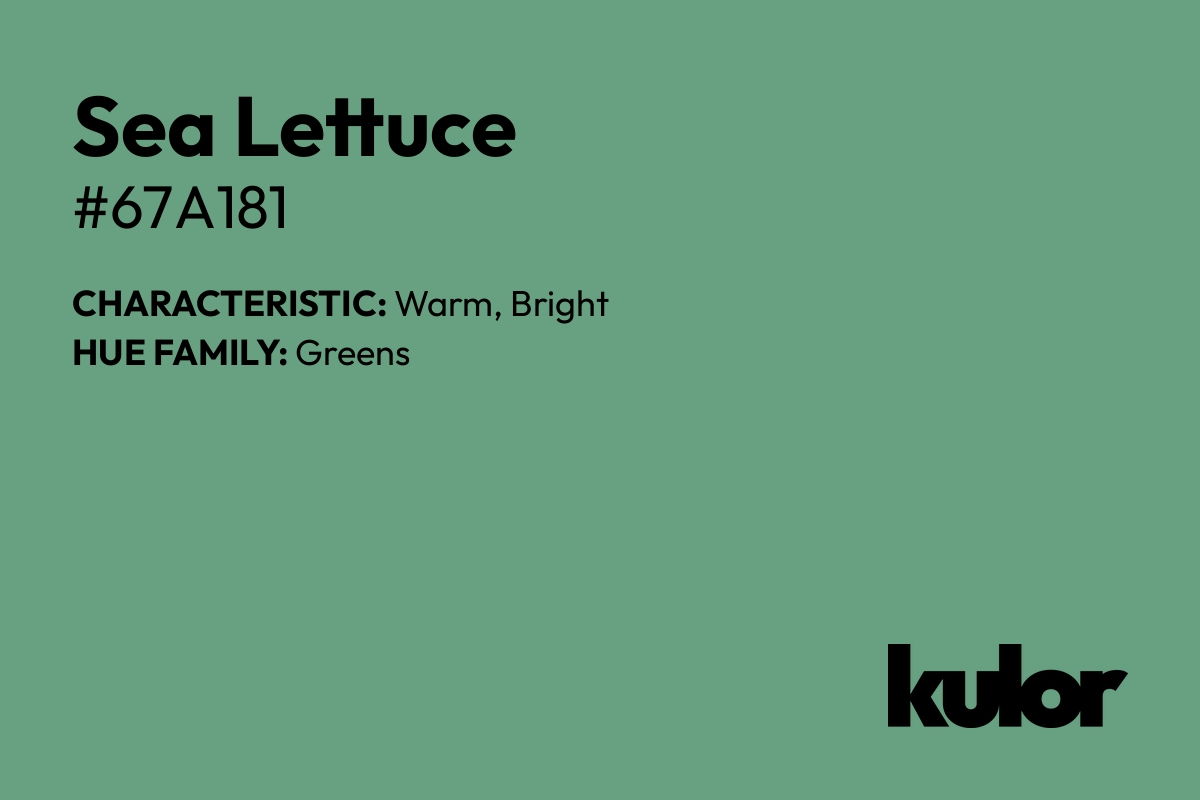 Sea Lettuce is a color with a HTML hex code of #67a181.