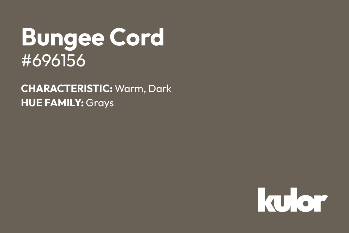 Bungee Cord is a color with a HTML hex code of #696156.