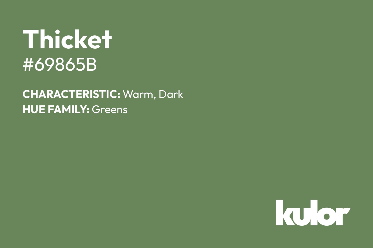 Thicket is a color with a HTML hex code of #69865b.