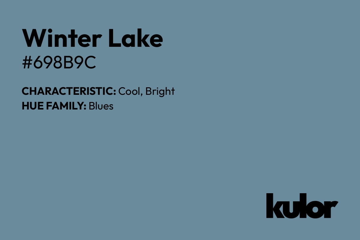 Winter Lake is a color with a HTML hex code of #698b9c.